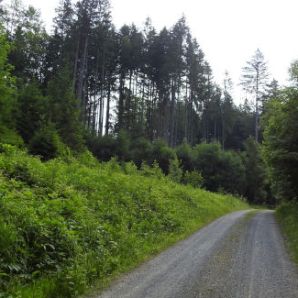 badersee-blog_spitzenwanderweg_etappe12_039