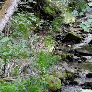 badersee-blog_spitzenwanderweg_etappe12_044