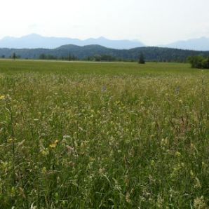 badersee-blog_spitzenwanderweg_etappe12_072