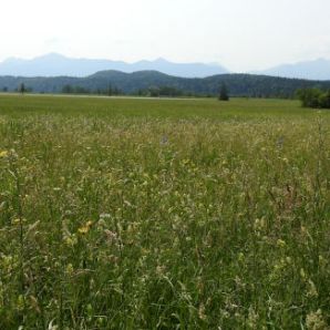 badersee-blog_spitzenwanderweg_etappe12_072