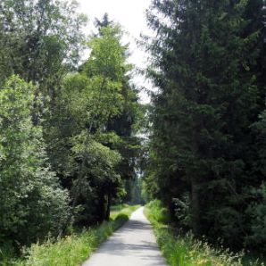 badersee-blog_spitzenwanderweg_etappe12_081