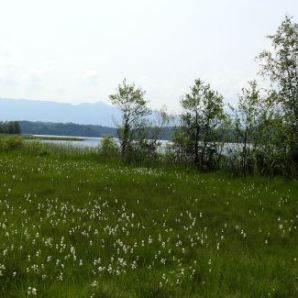 badersee-blog_spitzenwanderweg_etappe12_083