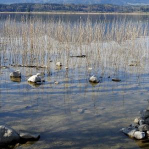 badersee-blog_ausflugstipp_staffelsee_08