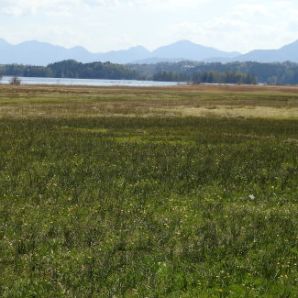 badersee-blog_ausflugstipp_staffelsee_17