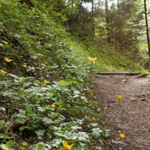 badersee_blog_wanderung-steinbichl_01