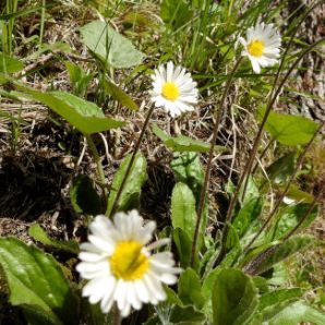 badersee_blog_wanderung-steinbichl_03