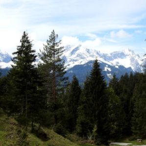 badersee_blog_wanderung-steinbichl_22