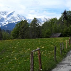 badersee_blog_wanderung-steinbichl_24