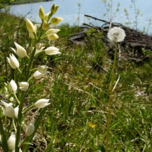 07_badersee-blog-wanderung-walchensee