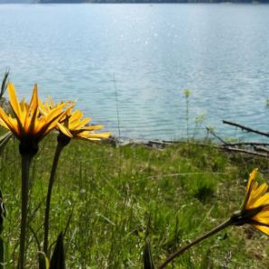 08_badersee-blog-wanderung-walchensee