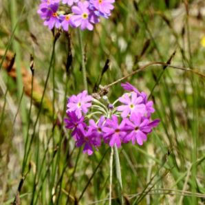 09_badersee-blog-wanderung-walchensee