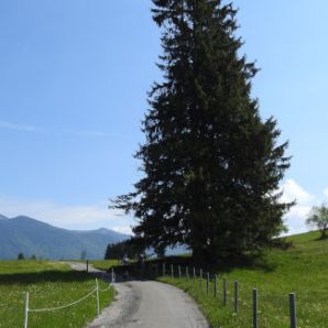 10_badersee-blog-wanderung-walchensee