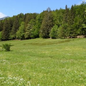 13_badersee-blog-wanderung-walchensee