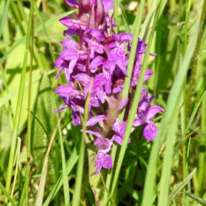 15_badersee-blog-wanderung-walchensee