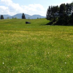 16_badersee-blog-wanderung-walchensee