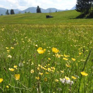 17_badersee-blog-wanderung-walchensee