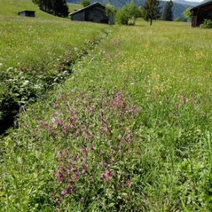 21_badersee-blog-wanderung-walchensee