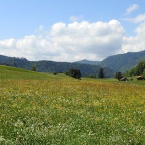 27_badersee-blog-wanderung-walchensee