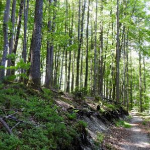 38_badersee-blog-wanderung-walchensee