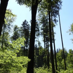 39_badersee-blog-wanderung-walchensee