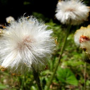 40_badersee-blog-wanderung-walchensee