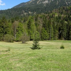 badersee_blog_wamberg_03