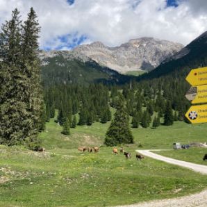 badersee-blog_biken_wettersteinrunde_06
