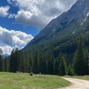 badersee-blog_biken_wettersteinrunde_07