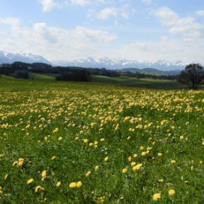 badersee-blog_ausflugstipp_wieskirche_06