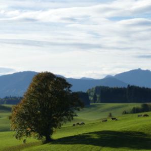 badersee-blog_ausflugstipp_wieskirche_12