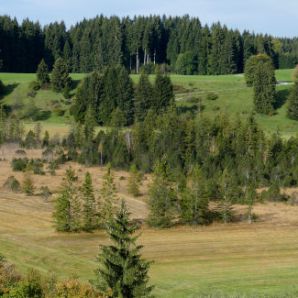 badersee-blog_ausflugstipp_wieskirche_13