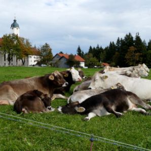 badersee-blog_ausflugstipp_wieskirche_24