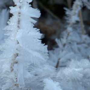 badersee_winteratmosphaere_15