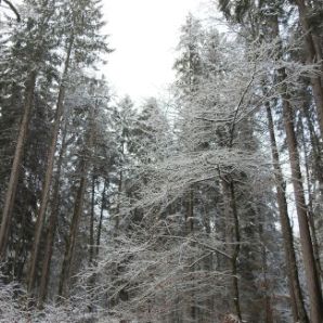 badersee-blog_winterwanderung_grainau-zugspitze_02_1