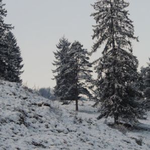 badersee-blog_winterwanderung_grainau-zugspitze_04_2