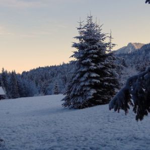 badersee-blog_winterwanderung_grainau-zugspitze_07
