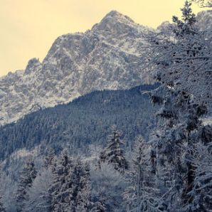 badersee-blog_winterwanderung_grainau-zugspitze_13