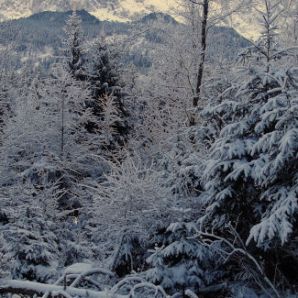 badersee-blog_winterwanderung_grainau-zugspitze_15