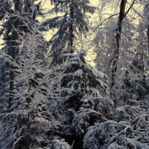 badersee-blog_winterwanderung_grainau-zugspitze_16