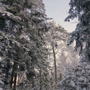 badersee-blog_winterwanderung_grainau-zugspitze_17