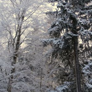 badersee-blog_winterwanderung_grainau-zugspitze_18