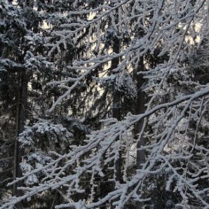 badersee-blog_winterwanderung_grainau-zugspitze_19