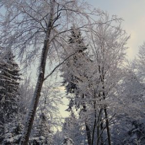 badersee-blog_winterwanderung_grainau-zugspitze_20