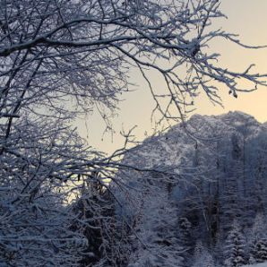 badersee-blog_winterwanderung_grainau-zugspitze_25