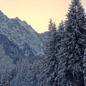 badersee-blog_leichte-winterwanderwege_023_eibsee-badersee