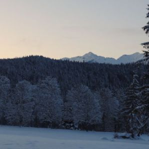 badersee-blog_leichte-winterwanderwege_025_eibsee-badersee