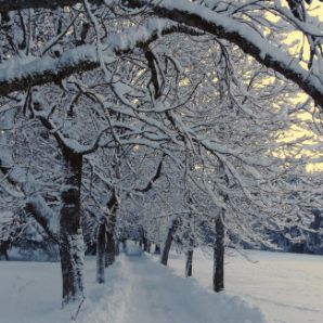 badersee-blog_leichte-winterwanderwege_026_eibsee-badersee