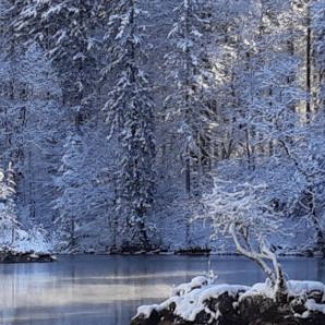 badersee-blog_leichte-winterwanderwege_029_eibsee-badersee