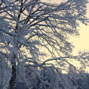 badersee-blog_leichte-winterwanderwege_035_neuneralm