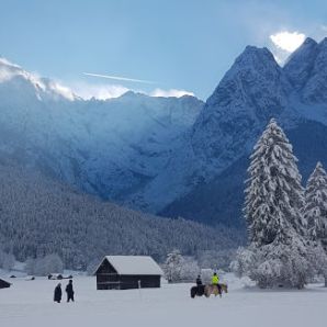 badersee-blog_leichte-winterwanderwege_045_hammersbach